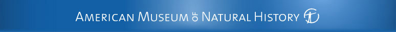 amnhbanner.jpg