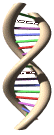 animateddna.gif