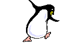 animatedfunkypenguin.gif