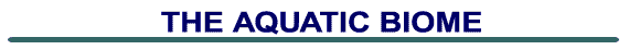 aquaticbiomebanner.gif