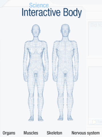 bbcinteractivebodygames.jpg