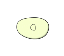 binaryfissionanimation.gif