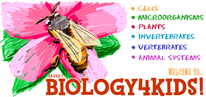 biologyforkids.gif