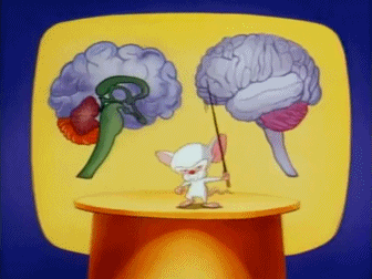 brainstemsong.gif