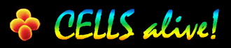 cellsalive.gif