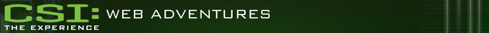 csiwebadventures.jpg