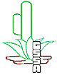cssalogo.gif
