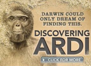discoveringardi.jpg