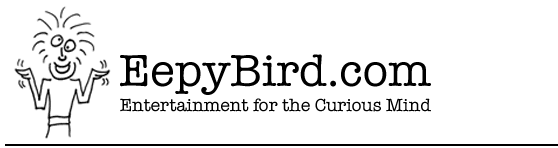 eepybird.gif