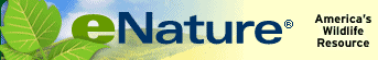 enaturelogo.gif