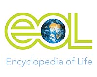 encyclopediaoflife.jpg