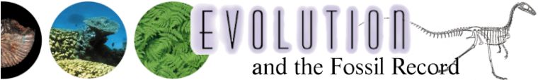 evolutionandthefossilrecord.jpg
