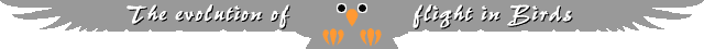 evolutionofflightinbirds.gif