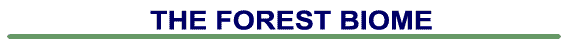 forestbiomebanner.gif