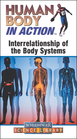hbiabodysystems.jpg