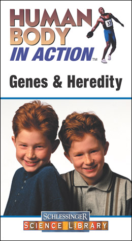 hbiagenesandheredity.jpg