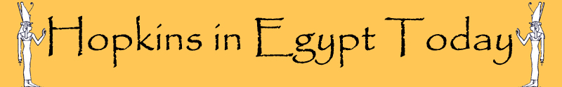 hopkinsinegypttodaybanner.jpg
