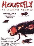 houseflymovie.jpg