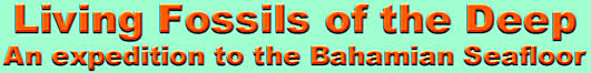 livingfossilsofthedeep.jpg