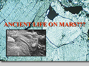 lpiancientlifeonmars.jpg