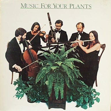 musicforyourplants.jpg