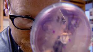 mythbusterssurprisetoothbrushstill.jpeg