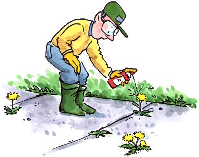 npicsprayingweeds.gif