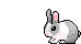 rabbitanimation.gif