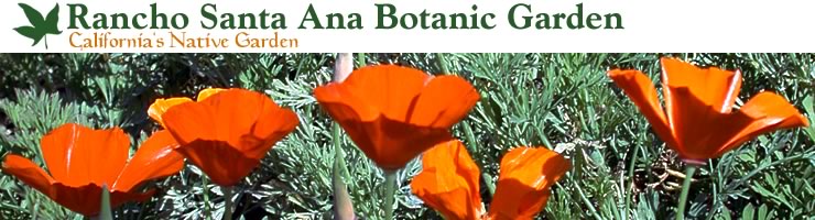 ranchosantaanabotanicalgarden.jpg