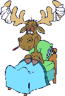 sickmoose.gif