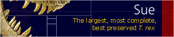sueexhibitbanner.jpg
