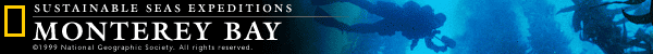 sustainableseasexpeditionsmontereybay.gif