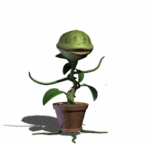 swayingvenusflytrap.gif