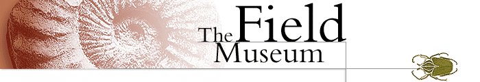thefieldmuseumbanner.gif