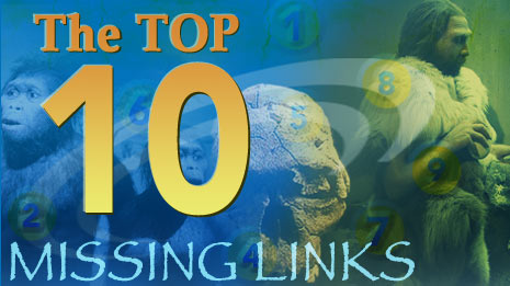 top10missinglinks.jpg