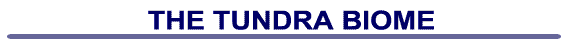 tundrabiomebanner.gif