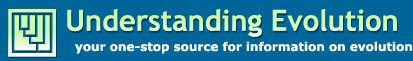 understandingevolutionlogo.gif