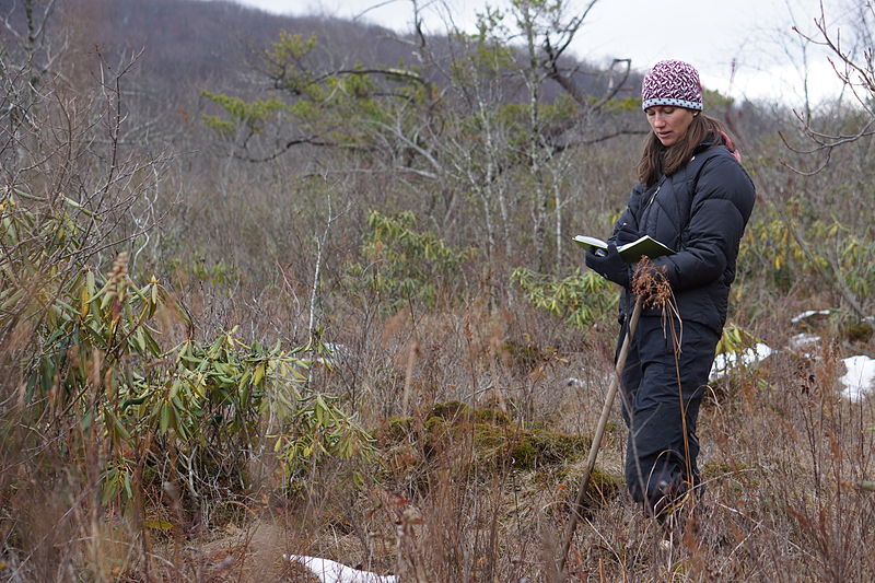 wikibiologistmakingfieldnotes.jpg