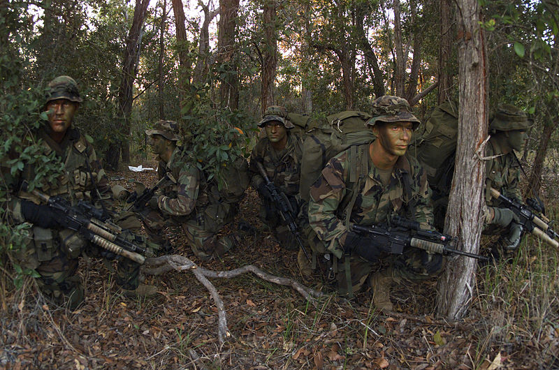 wikicamouflagedmarines.jpg