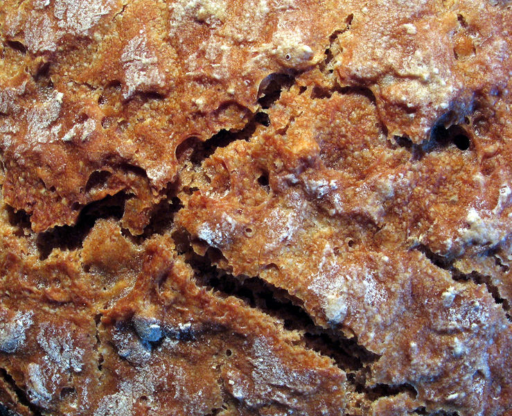 wikicracksinbreadcrust.jpg