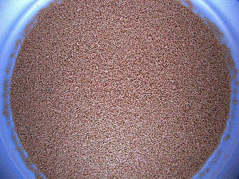 wikidryyeast.jpg