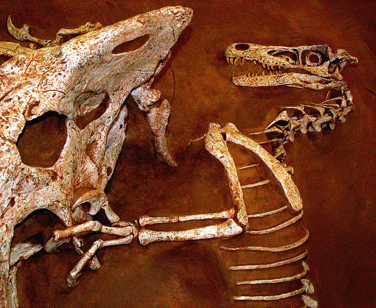 wikifightingdinosaurs.jpg