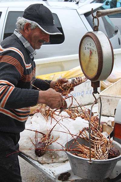 wikifishermanweighinglobsters.jpg
