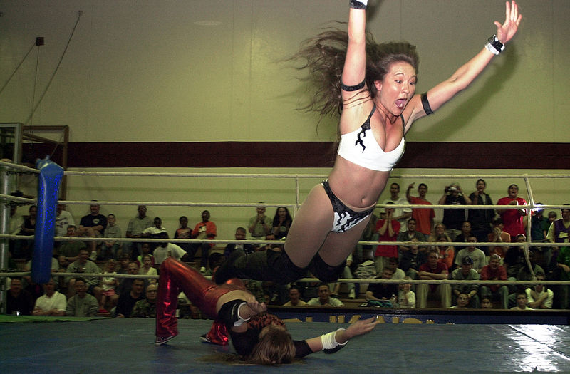 wikiflyingwrestler.JPEG