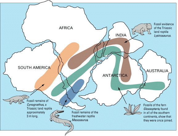 wikifossilmap.gif