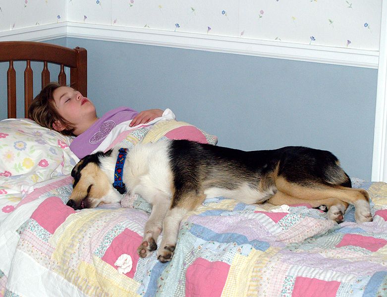 wikigirlsleepingwithdog.JPG