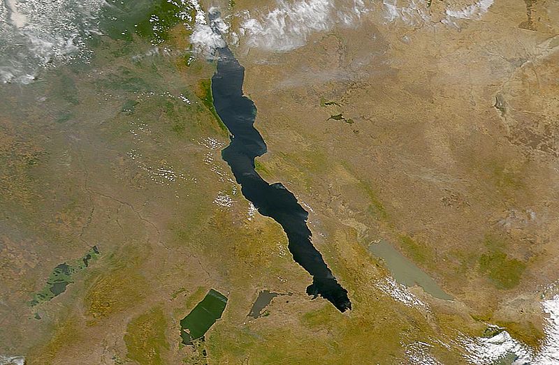 wikilakesinafricanriftvalley.jpg
