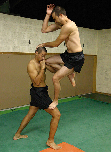 wikimartialartsstepelbow.jpg