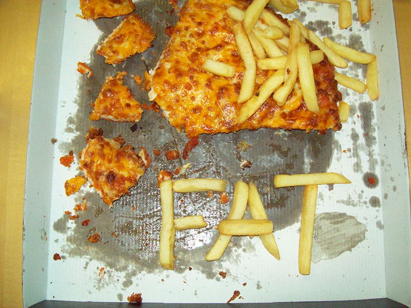 wikipizzafriesfat.JPG