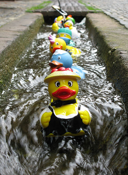 wikirubberducks.JPG
